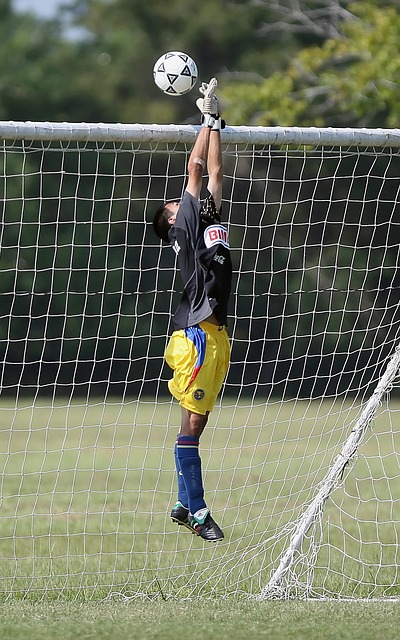 媒体记者及 媒体记者及