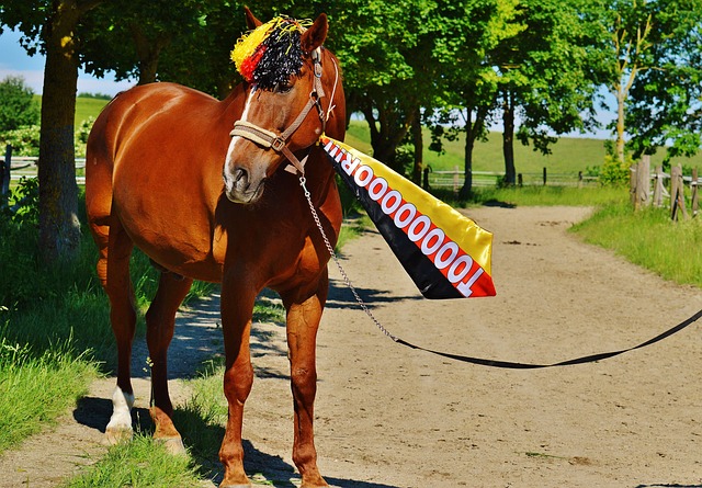 质灾害的决 质灾害的决