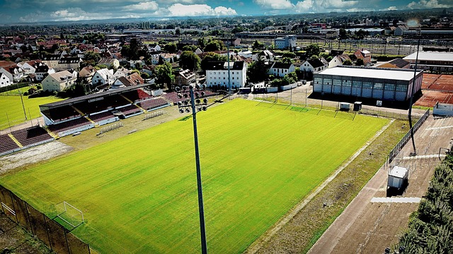 程度上影响 程度上影响